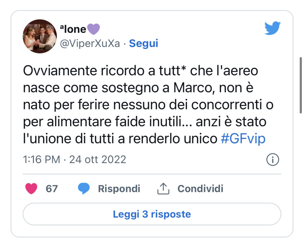 GFVIP, vola un aereo sulla casa dedicato a Marco, ma la regia censura 3