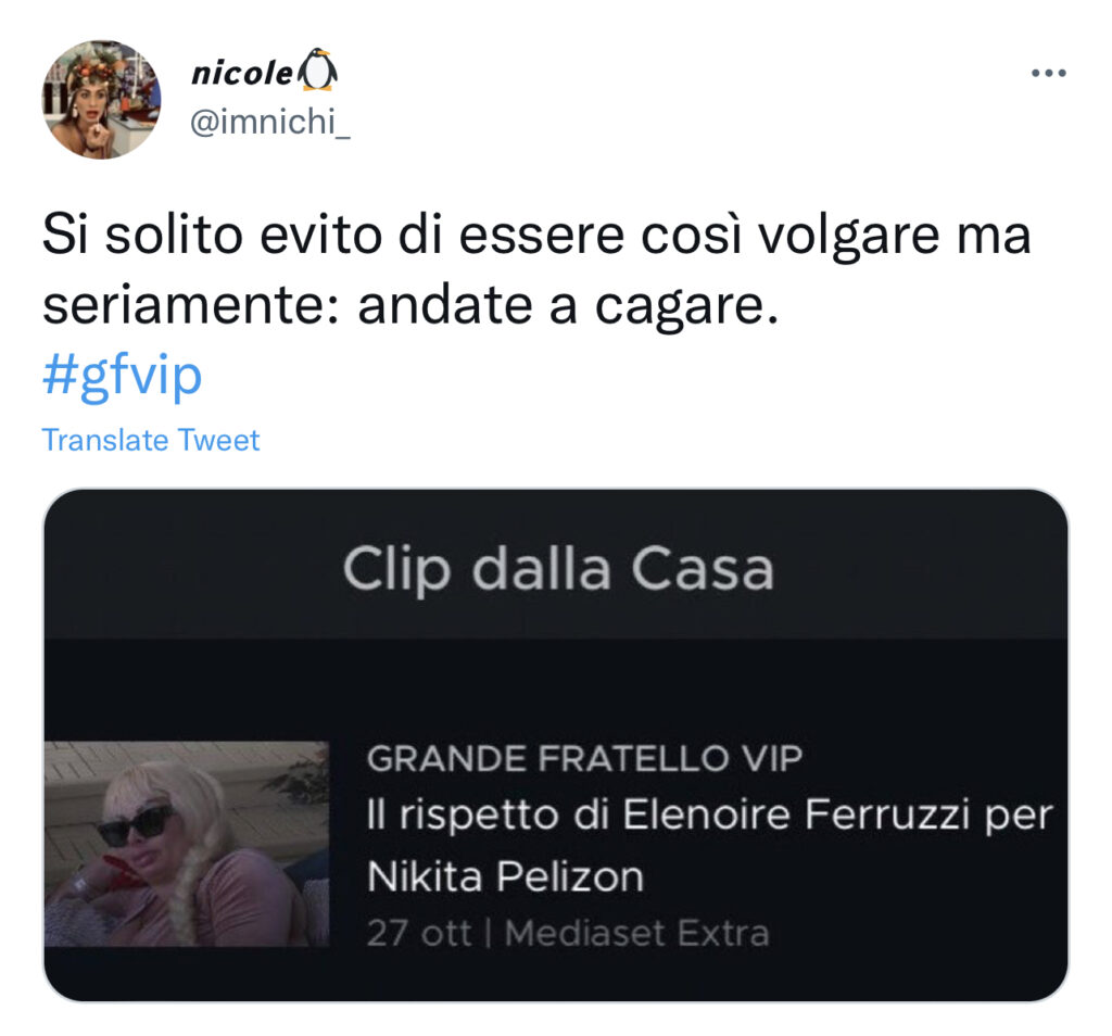 GFVIP, Elenoire e Nikita chiariscono, il web non ci crede 2