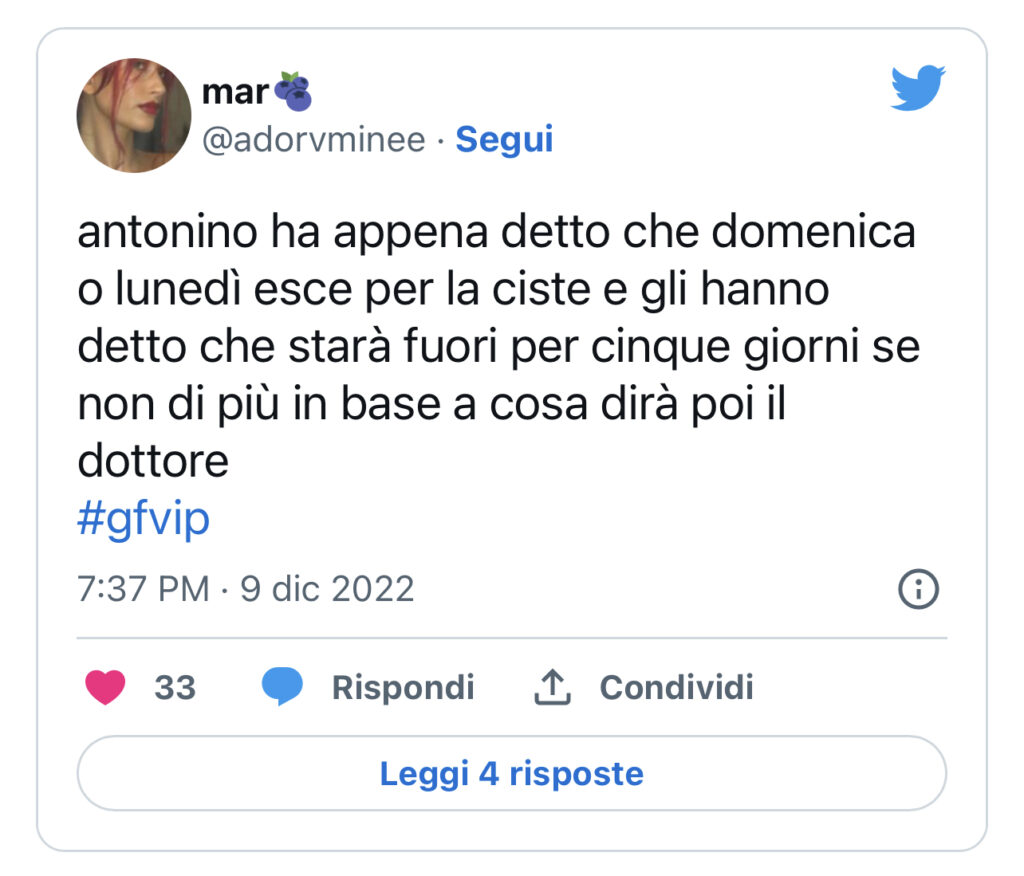 GFVIP, Antonino abbandona la casa 2