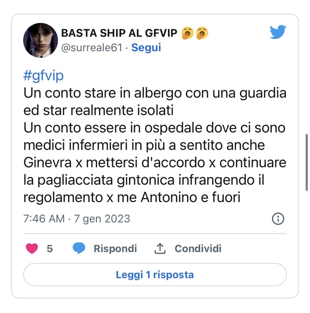 GFVIP, Antonino e Ginevra si sono rivisti 2