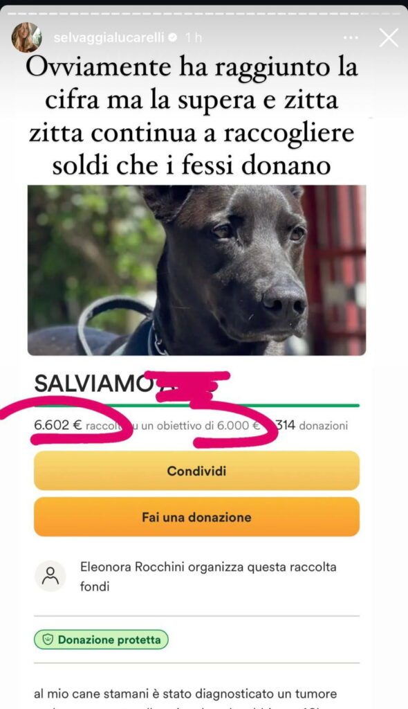 Uomini e donne, ex corteggiatrice chiede soldi per curare il suo cane, scoppia la polemica 3