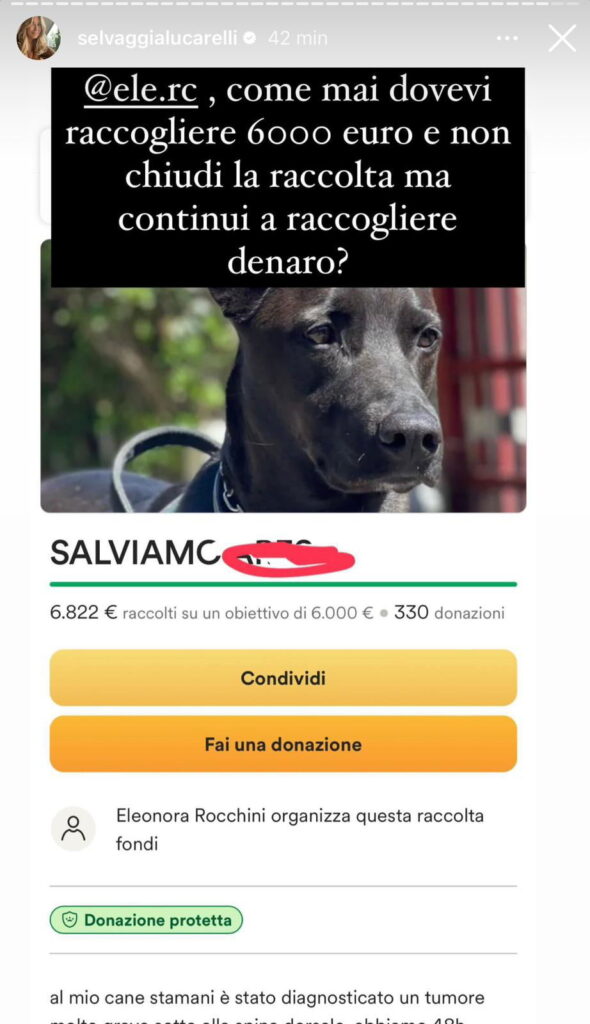 Uomini e donne, ex corteggiatrice chiede soldi per curare il suo cane, scoppia la polemica 5