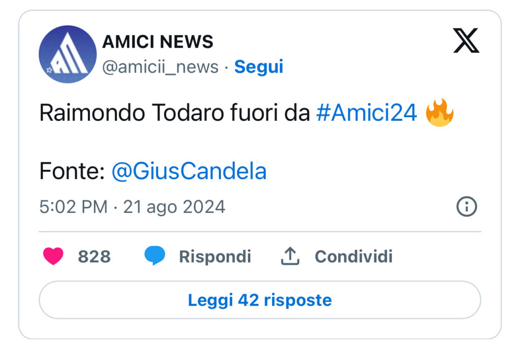 Amici, Raimondo Todaro lascia il Talent, ecco chi prenderà il suo posto 3