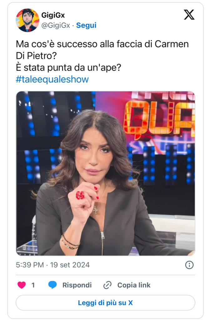 Tale e quale, Carmen Di Pietro appare completamente diversa 2